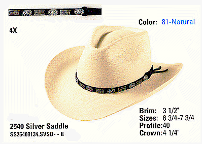 Silver Saddle image.